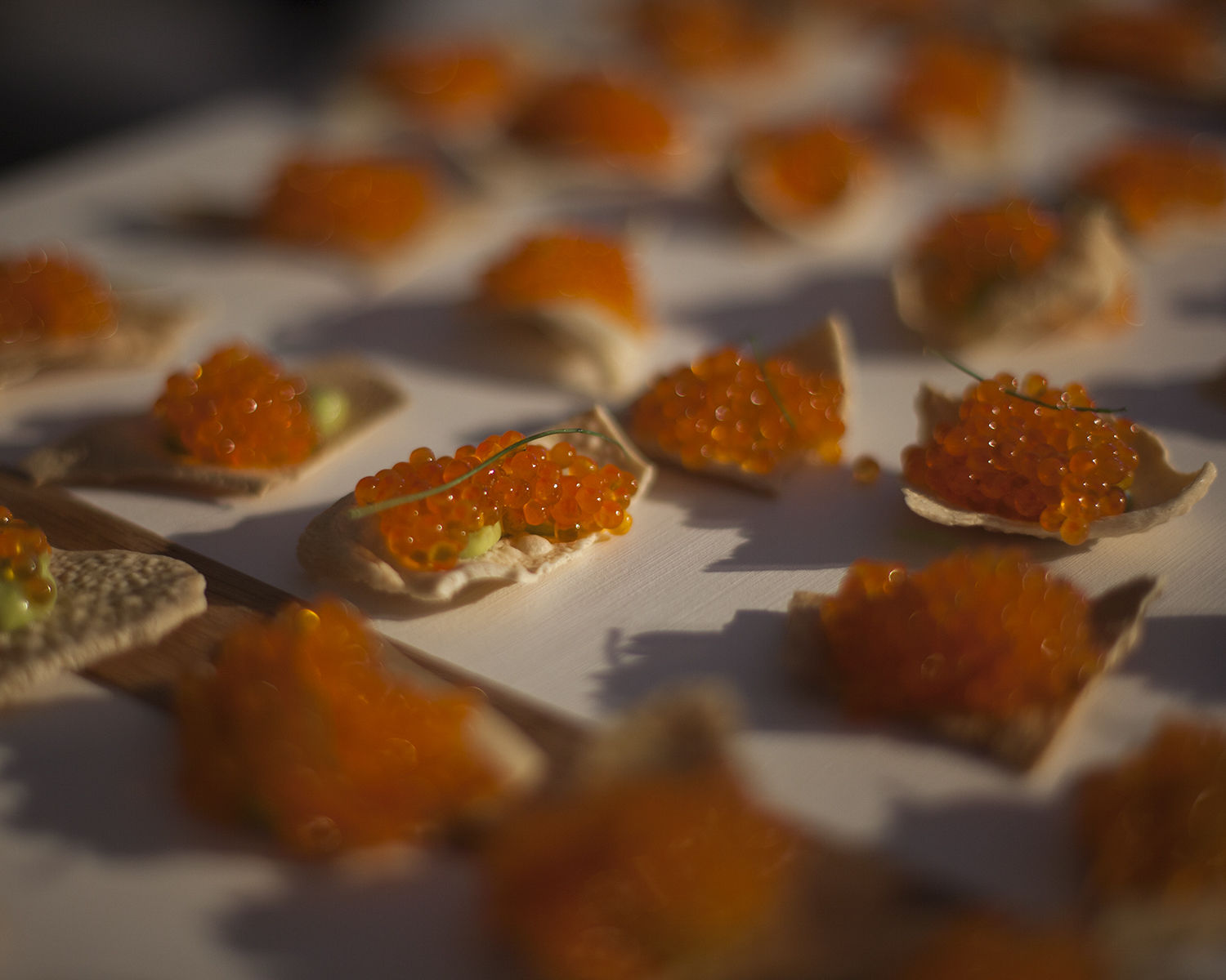 PBFW_NC_04.jpg
